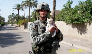 tom-cotton-kitten