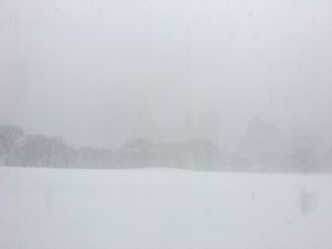 The Sheep Meadow, looking south towards Midtown.