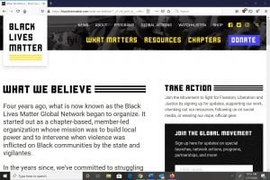 Black Lives Matter What We Believe section screenshot 1_July 17 2020_spectator.org