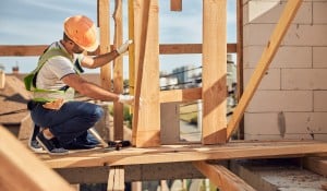 Construction worker. Svitlana Hulko/Shutterstock