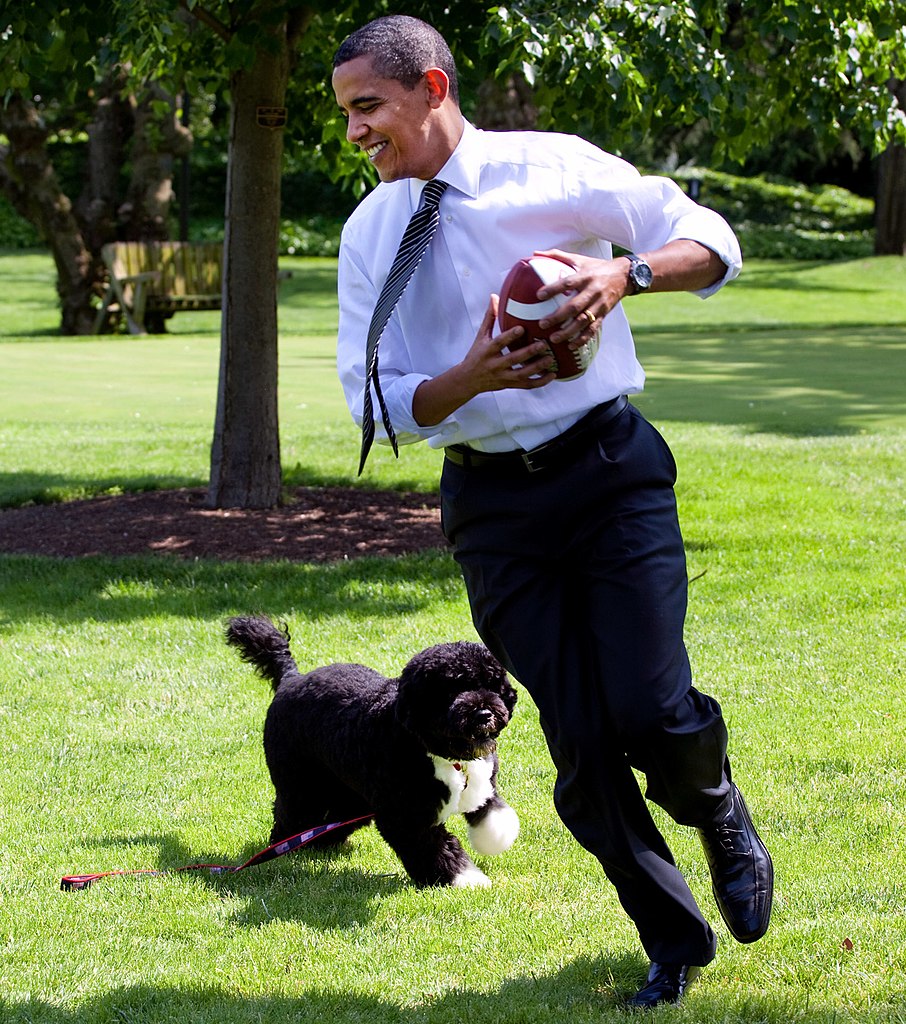 President Barack Obama, runs away from the family dog, Bo, during a brief break from meetings on the South Lawn of the White House May 12, 2009 (spectator.org)