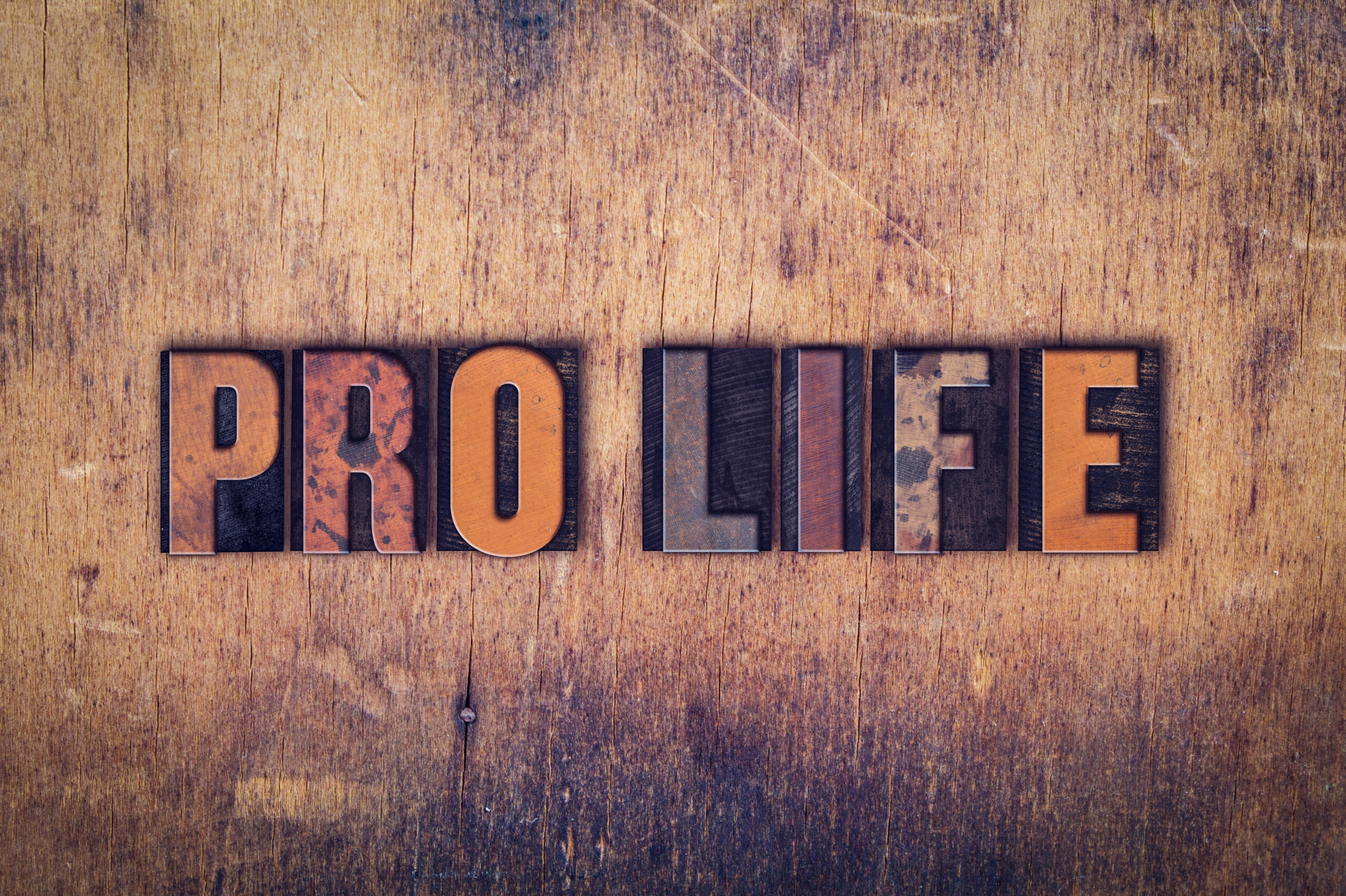 NextImg:Stand Up for the Pro-Life Persecuted