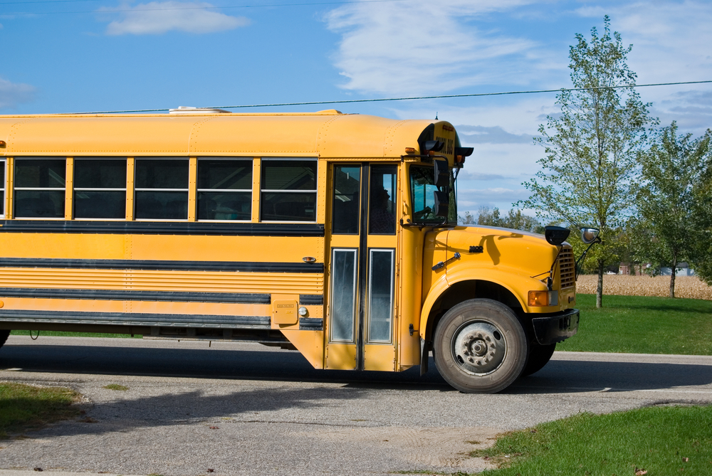 NextImg:Of Kamala’s Coconuts, Venn Diagrams, and Yellow School Buses